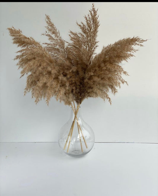 Pop up pampas grass